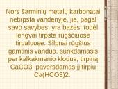 Anglies karbonatas 16 puslapis