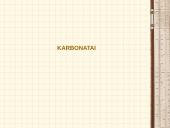 Anglies karbonatas 18 puslapis