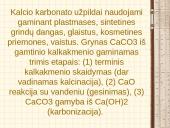 Anglies karbonatas 9 puslapis