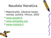 Anglosaksų teisinė sistema 11 puslapis