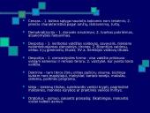 Antikos epochos politinė filosofija 16 puslapis