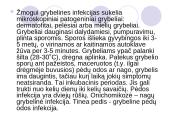 Antimikrobiniai vaistai 11 puslapis