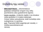 Antimikrobiniai vaistai 12 puslapis