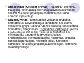 Antimikrobiniai vaistai 13 puslapis