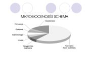 Antimikrobiniai vaistai 15 puslapis