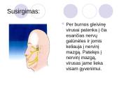 Antimikrobiniai vaistai 18 puslapis