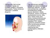 Antimikrobiniai vaistai 19 puslapis