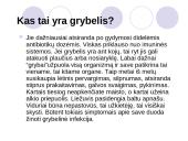 Antimikrobiniai vaistai 10 puslapis