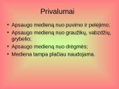 Antiseptikai 4 puslapis