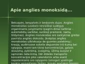 Aplinkos užterštumo tyrimai 3 puslapis