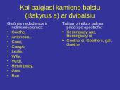 Asmenvardžių ir vietovardžių vartosena lietuvių kalboje 14 puslapis