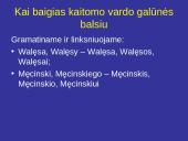 Asmenvardžių ir vietovardžių vartosena lietuvių kalboje 15 puslapis