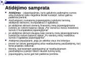 Atidėjimų apskaita 2 puslapis