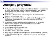 Atidėjimų apskaita 6 puslapis