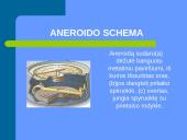 Atmosferos aprašymas 9 puslapis