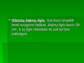 Augalo fotosintezė: svogūnas 11 puslapis