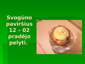 Augalo fotosintezė: svogūnas 13 puslapis
