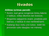 Augalo fotosintezė: svogūnas 14 puslapis
