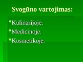 Augalo fotosintezė: svogūnas 3 puslapis