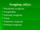 Augalo fotosintezė: svogūnas 4 puslapis