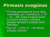 Augalo fotosintezė: svogūnas 6 puslapis