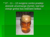 Augalo fotosintezė: svogūnas 8 puslapis