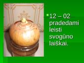 Augalo fotosintezė: svogūnas 9 puslapis