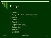 Aukščiausiasis Teismas 2 puslapis