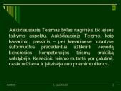 Aukščiausiasis Teismas 11 puslapis