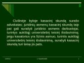 Aukščiausiasis Teismas 17 puslapis