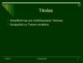 Aukščiausiasis Teismas 3 puslapis