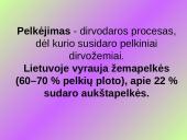 Aukštapelkės ir žemapelkės 2 puslapis