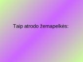 Aukštapelkės ir žemapelkės 16 puslapis