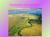 Aukštapelkės ir žemapelkės 18 puslapis