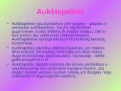 Aukštapelkės ir žemapelkės 3 puslapis