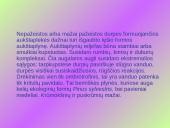 Aukštapelkės ir žemapelkės 4 puslapis