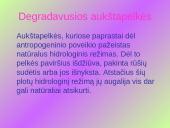 Aukštapelkės ir žemapelkės 6 puslapis