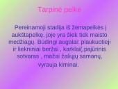 Aukštapelkės ir žemapelkės 7 puslapis