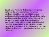 Aukštapelkės ir žemapelkės 8 puslapis