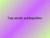 Aukštapelkės ir žemapelkės 10 puslapis