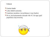 Automatas Kalašnikov AK-47 6 puslapis