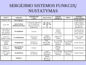 Automobilinė sergėjimo sistema 8 puslapis