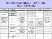 Automobilinė sergėjimo sistema 10 puslapis