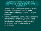Automobilių transportas 13 puslapis