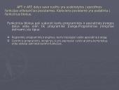 AXE-10 valdymo sistema 3 puslapis