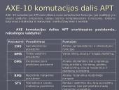 AXE-10 valdymo sistema 4 puslapis