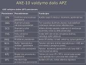 AXE-10 valdymo sistema 6 puslapis