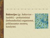 Bakterijų sandara ir dauginimasis 2 puslapis