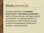 Bakterijų sandara ir dauginimasis 11 puslapis