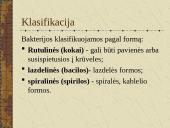 Bakterijų sandara ir dauginimasis 12 puslapis